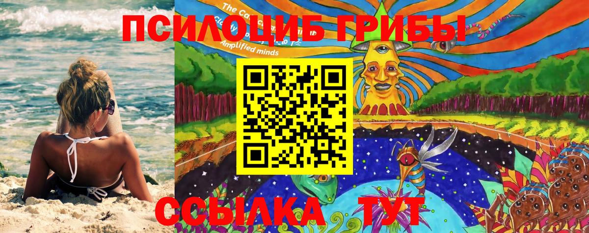 Кандалакша  Галлюциногенные грибы Psilocybine cubensis  магазин    Вход с VPN 