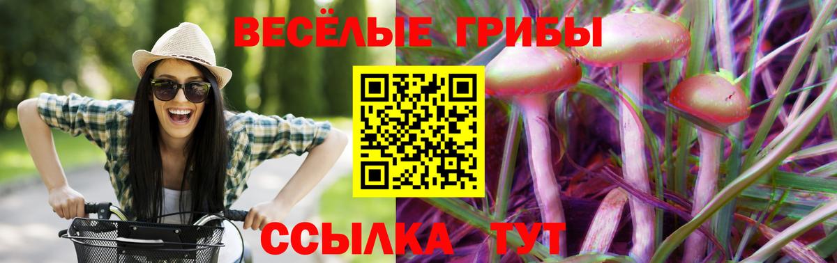 Псилоцибиновые грибы мицелий Кандалакша