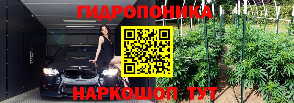 МАРИХУАНА гибрид Кандалакша